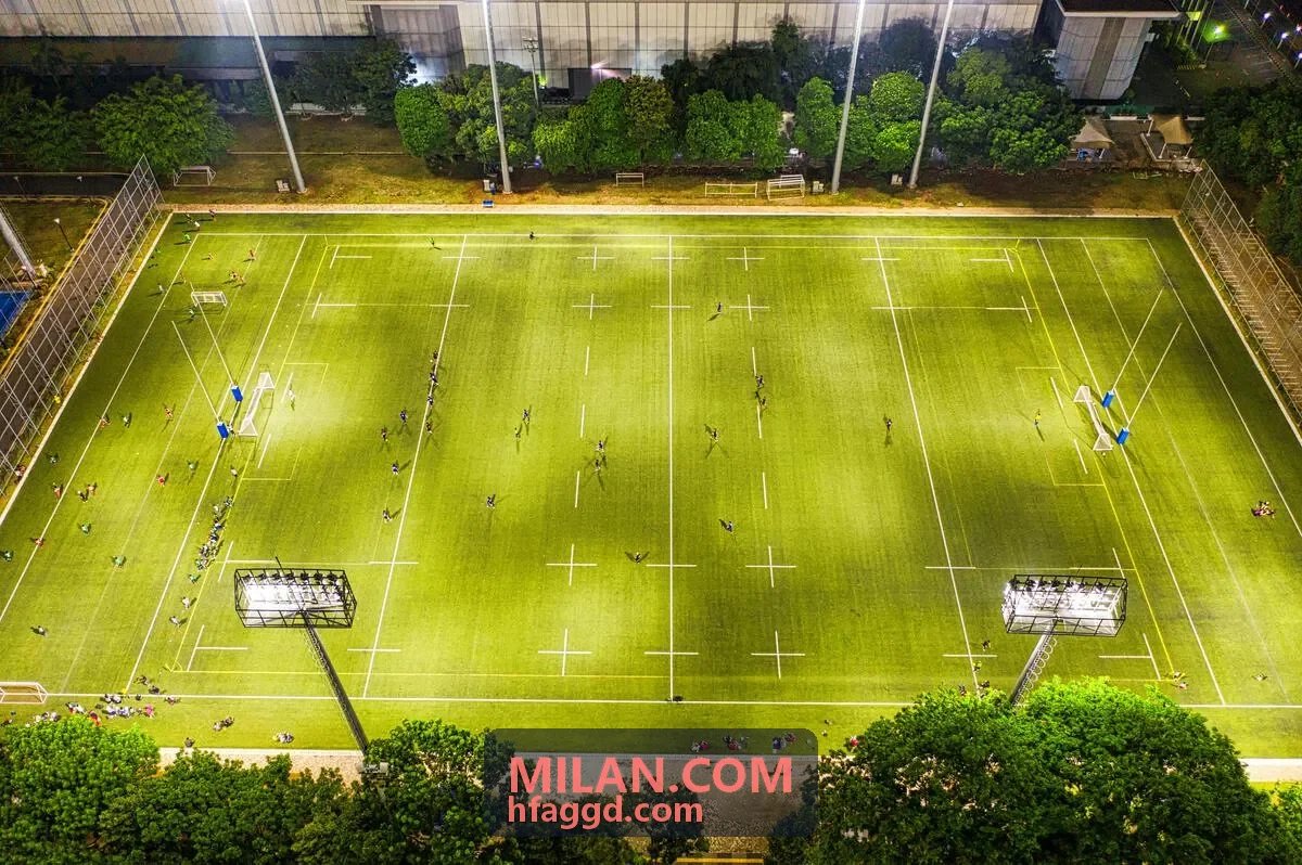 MILAN 消费者信号